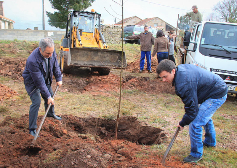 Montalegre assinala &quot;Dia Mundial da Árvore&quot; 2014