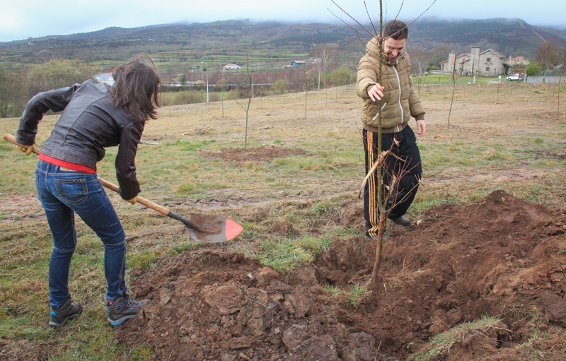 Montalegre assinala "Dia Mundial da Árvore" 2014