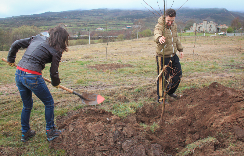 Montalegre assinala &quot;Dia Mundial da Árvore&quot; 2014