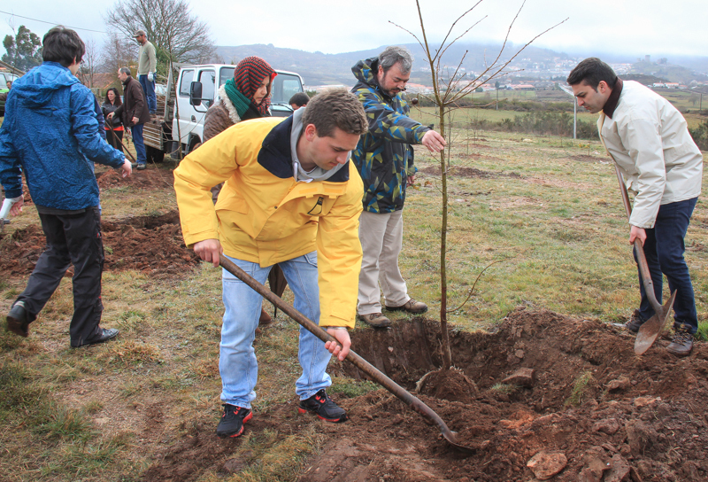 Montalegre assinala &quot;Dia Mundial da Árvore&quot; 2014