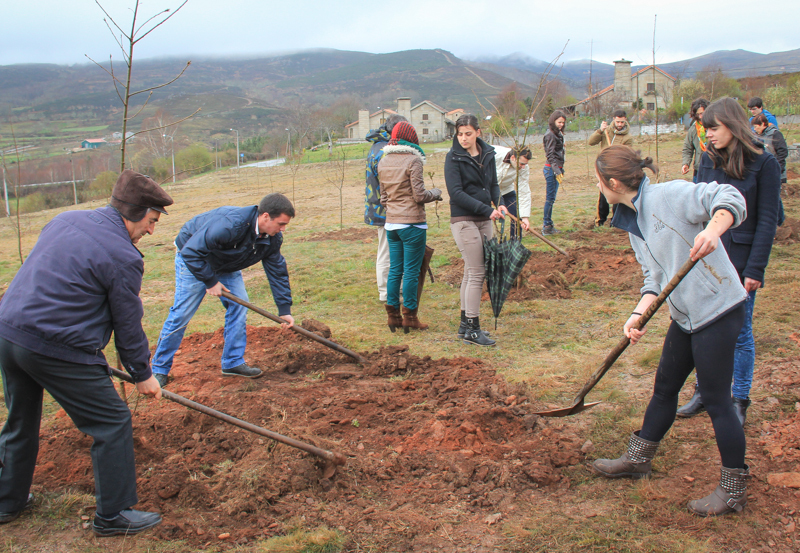 Montalegre assinala &quot;Dia Mundial da Árvore&quot; 2014