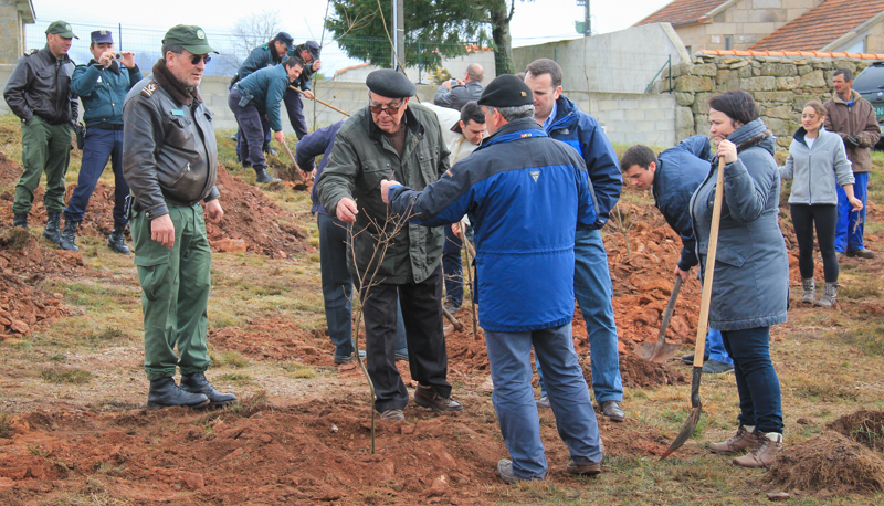 Montalegre assinala &quot;Dia Mundial da Árvore&quot; 2014