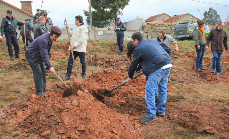 Montalegre assinala &quot;Dia Mundial da Árvore&quot; 2014