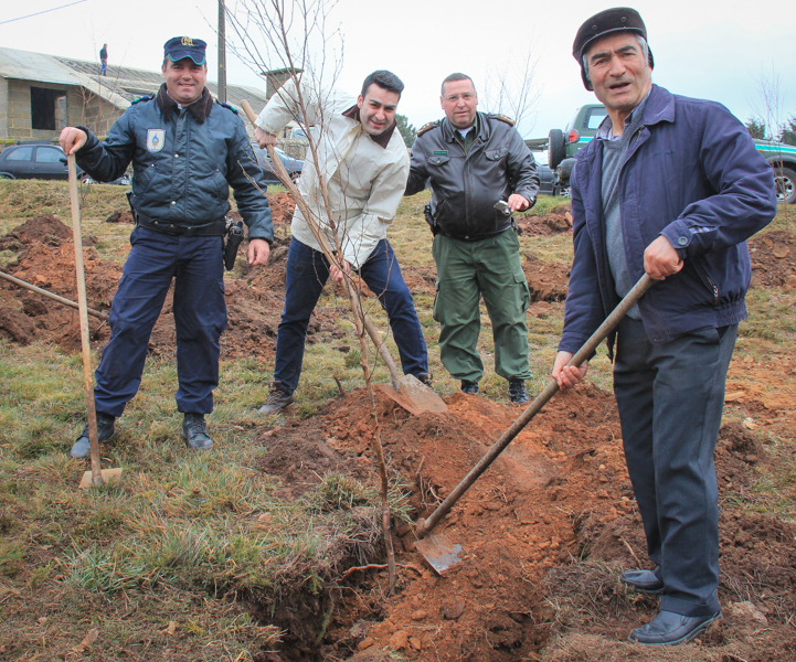 Montalegre assinala &quot;Dia Mundial da Árvore&quot; 2014