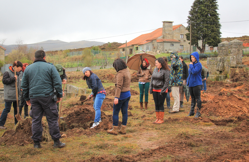 Montalegre assinala "Dia Mundial da Árvore" 2014