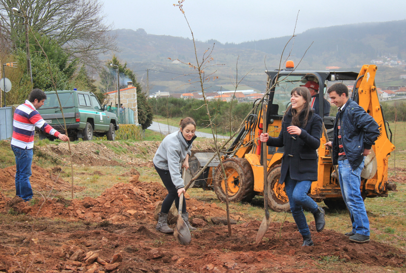 Montalegre assinala &quot;Dia Mundial da Árvore&quot; 2014