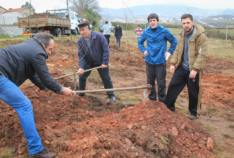 Montalegre assinala &quot;Dia Mundial da Árvore&quot; 2014