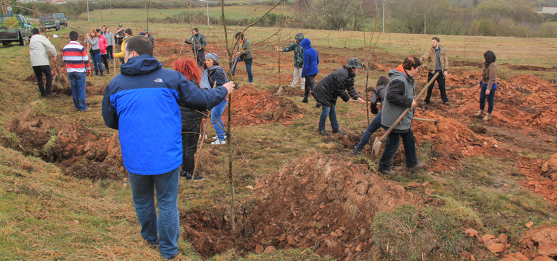 Montalegre assinala &quot;Dia Mundial da Árvore&quot; 2014