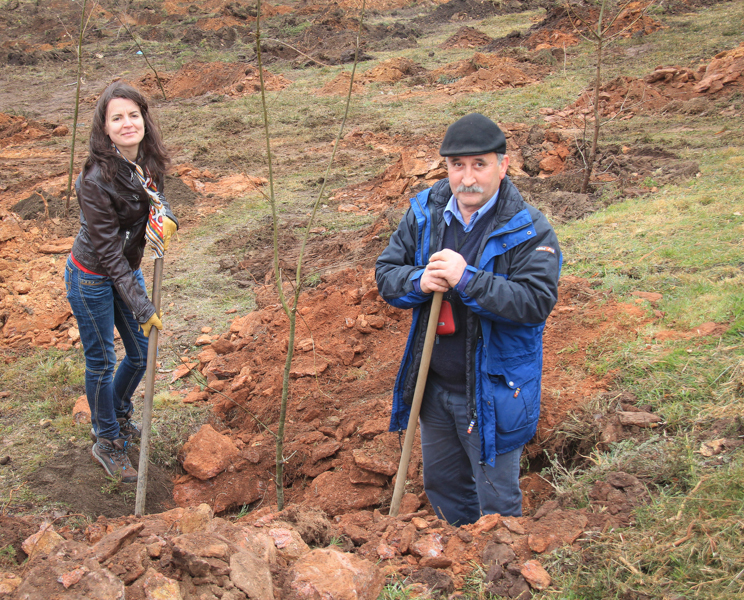 Montalegre assinala &quot;Dia Mundial da Árvore&quot; 2014