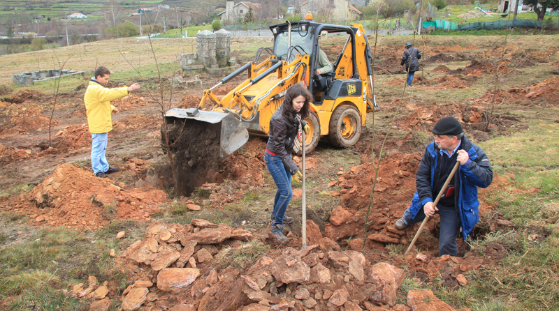 Montalegre assinala &quot;Dia Mundial da Árvore&quot; 2014