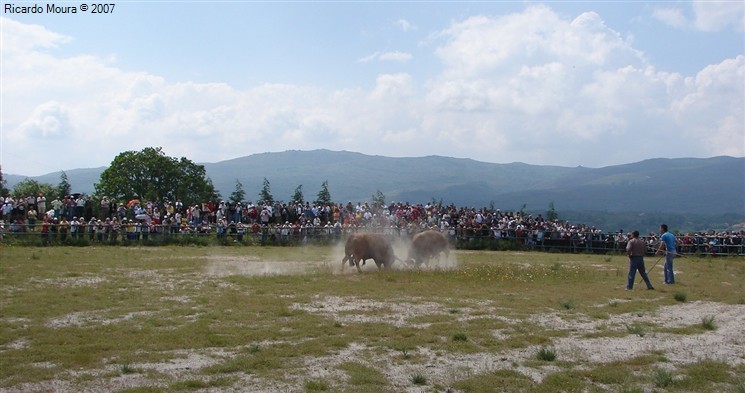 Arrancou Campeonato Chegas de Bois
