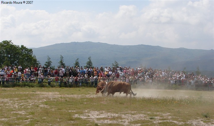 Arrancou Campeonato Chegas de Bois