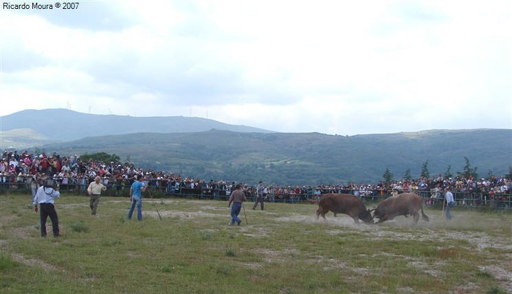 Arrancou Campeonato Chegas de Bois