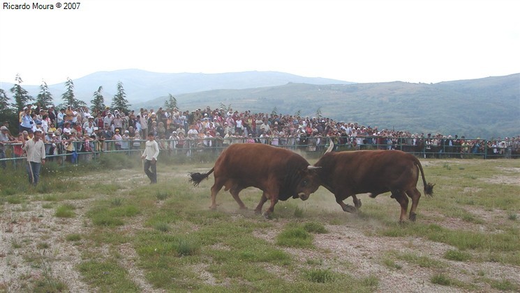 Arrancou Campeonato Chegas de Bois