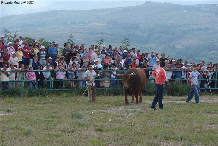 Arrancou Campeonato Chegas de Bois