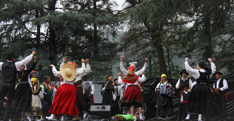 "Festa da Misarela" 2014