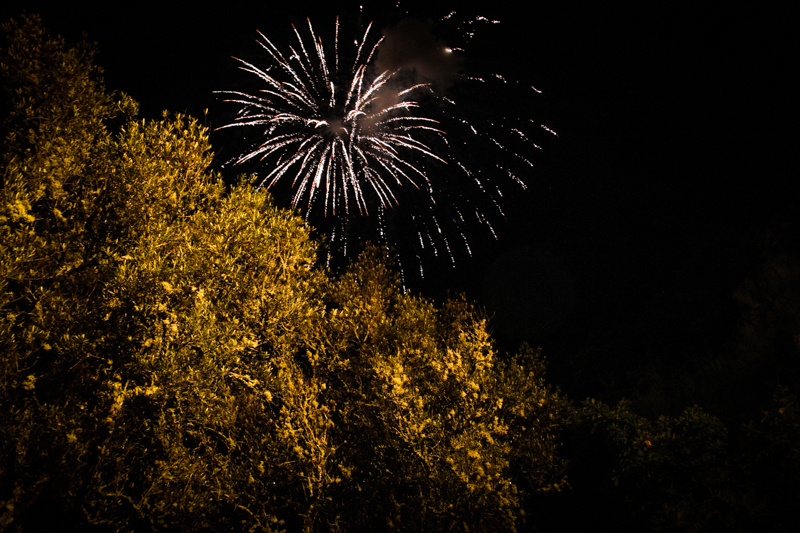 "Festa da Misarela" 2014