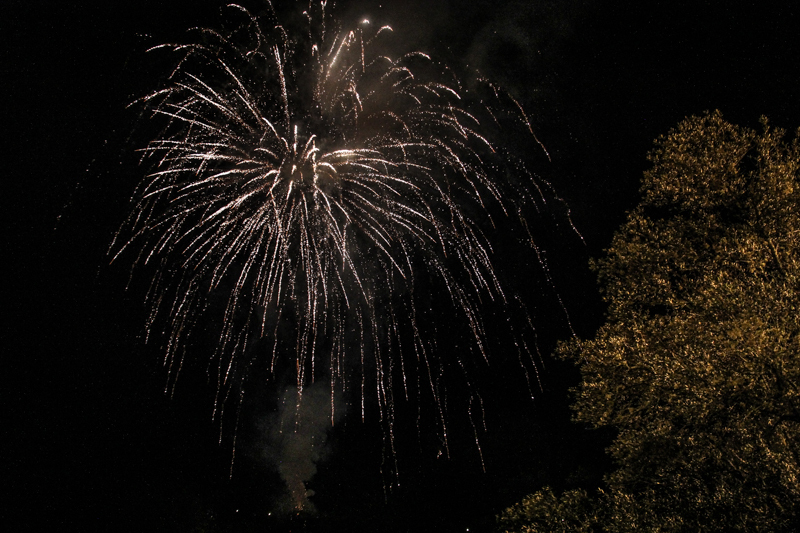 "Festa da Misarela" 2014
