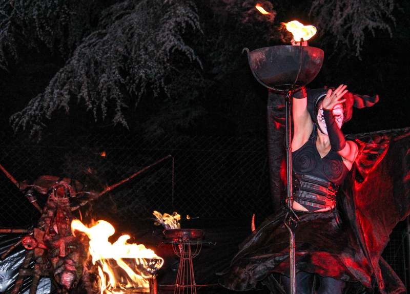 "Festa da Misarela" 2014