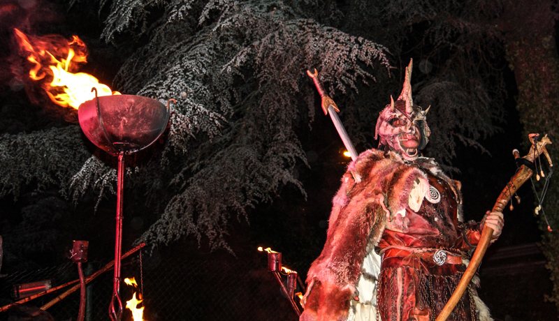 "Festa da Misarela" 2014