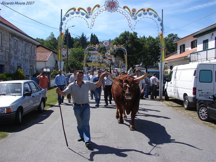 Concurso Pecuário da Venda Nova 2007