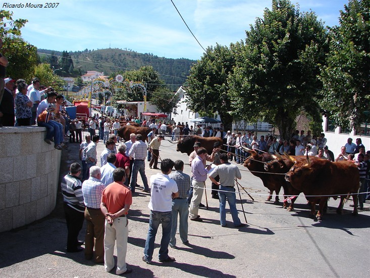 Concurso Pecuário da Venda Nova 2007