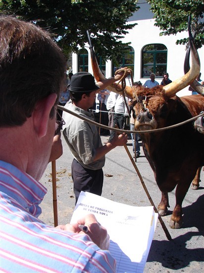 Concurso Pecuário da Venda Nova 2007