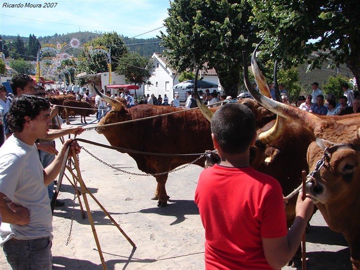 Concurso Pecuário da Venda Nova 2007