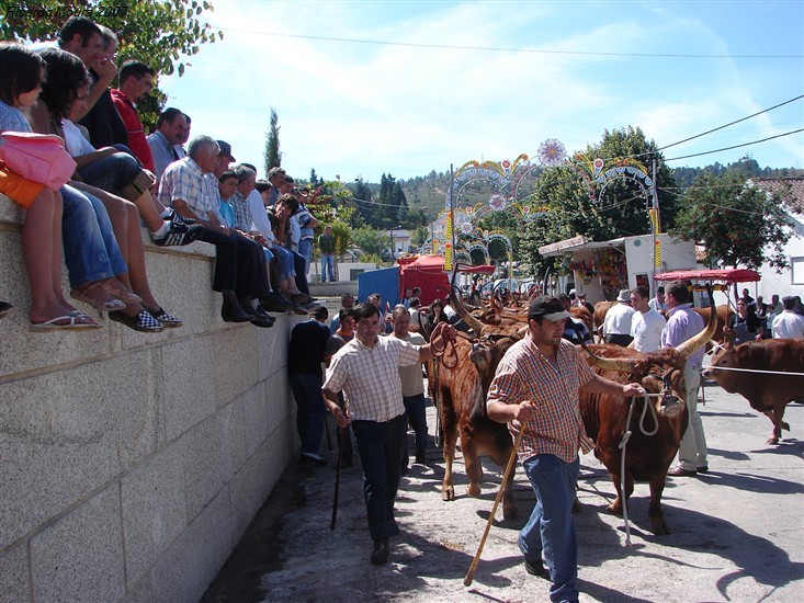 Concurso Pecuário da Venda Nova 2007