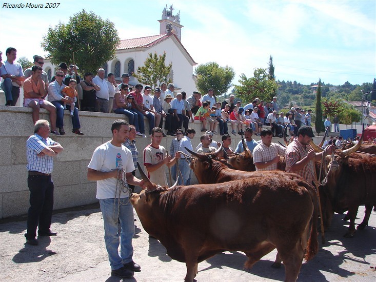 Concurso Pecuário da Venda Nova 2007