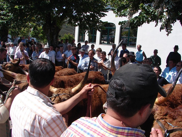 Concurso Pecuário da Venda Nova 2007