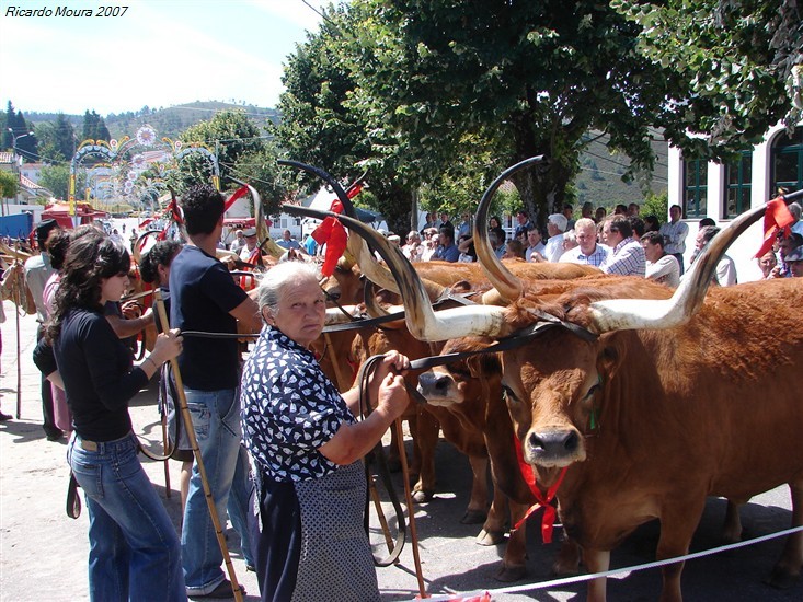 Concurso Pecuário da Venda Nova 2007