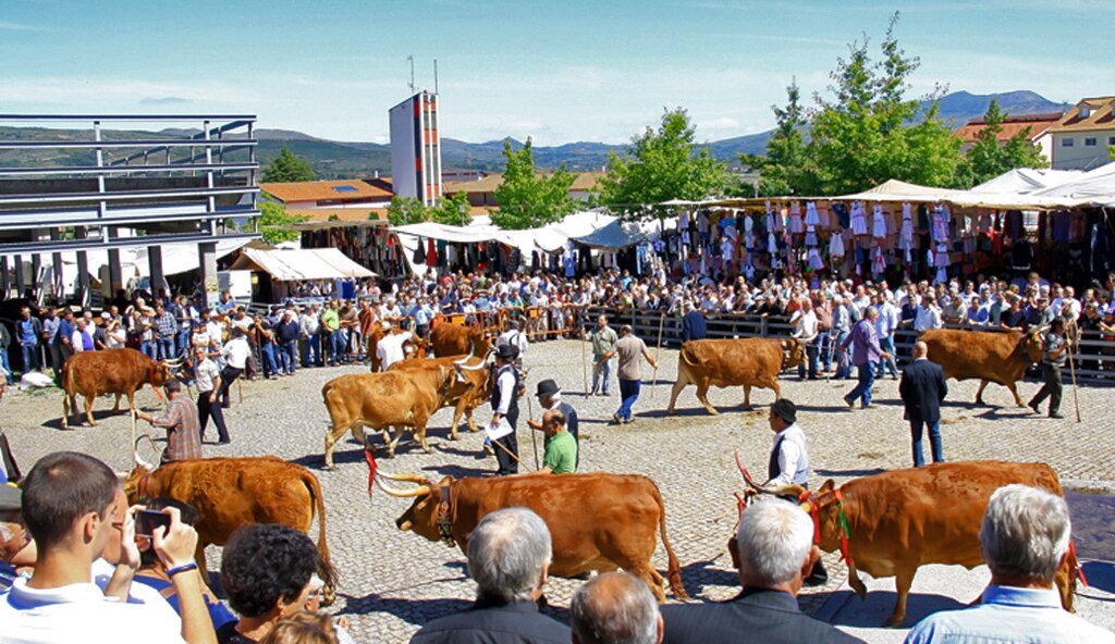 Montalegre - Feira do Prémio 2014