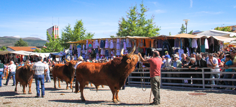 Montalegre - Feira do Prémio 2014