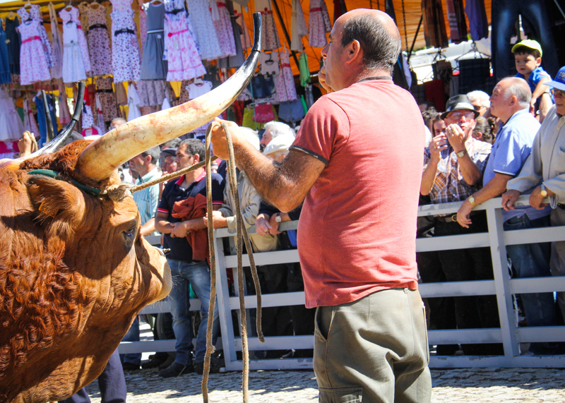 Montalegre - Feira do Prémio 2014