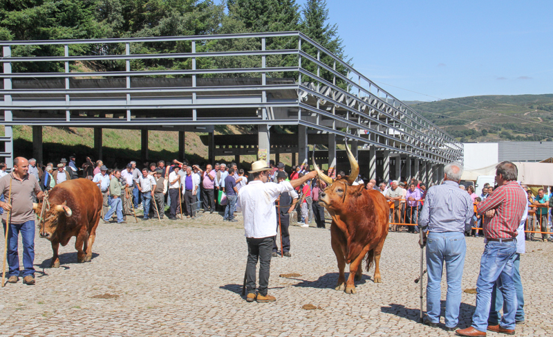 Montalegre - Feira do Prémio 2014