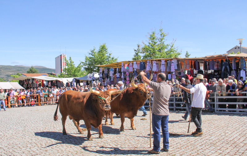 Montalegre - Feira do Prémio 2014