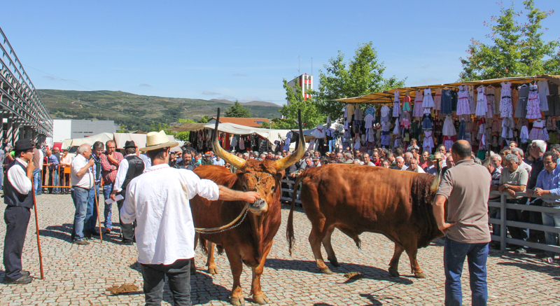 Montalegre - Feira do Prémio 2014