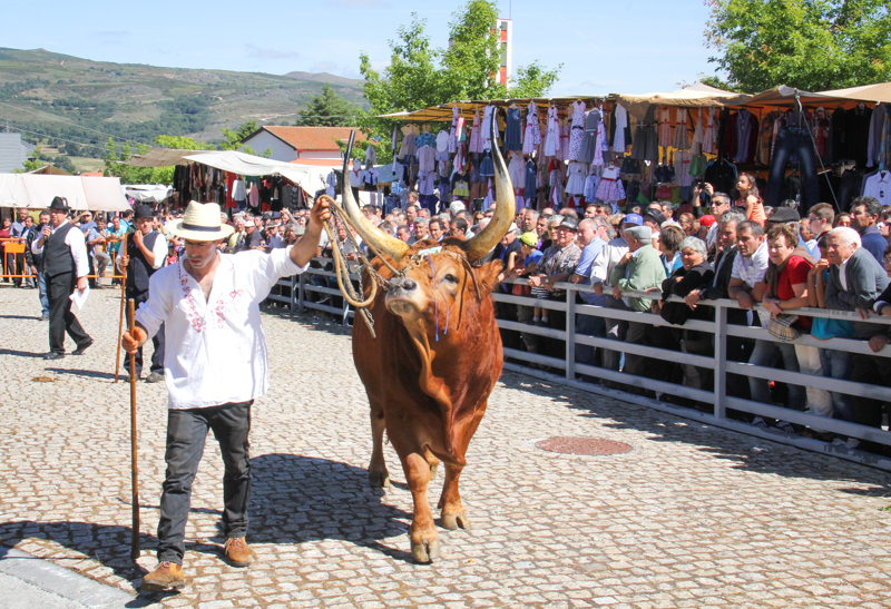 Montalegre - Feira do Prémio 2014