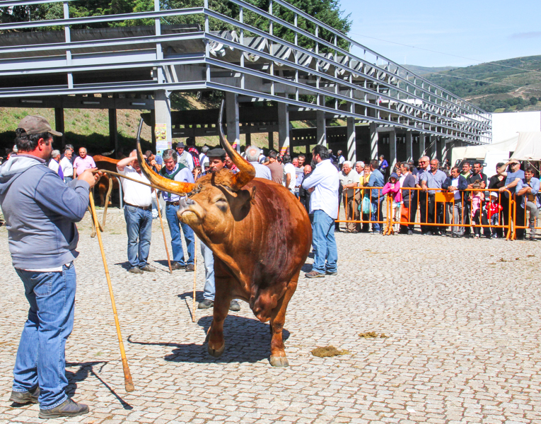 Montalegre - Feira do Prémio 2014