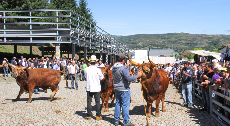 Montalegre - Feira do Prémio 2014