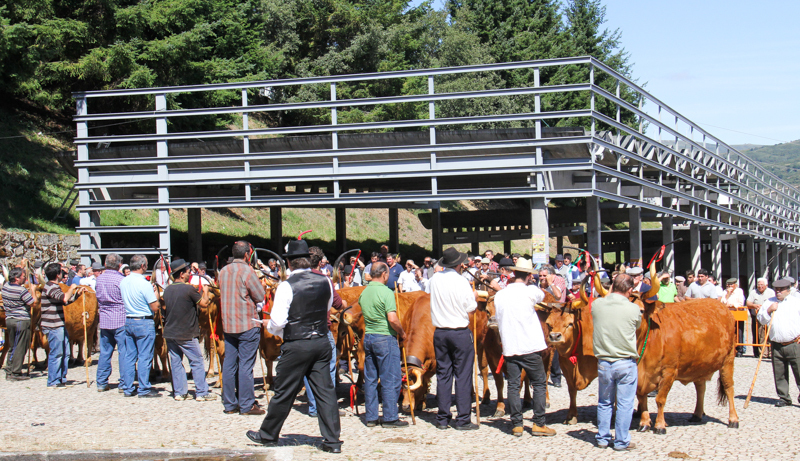 Montalegre - Feira do Prémio 2014