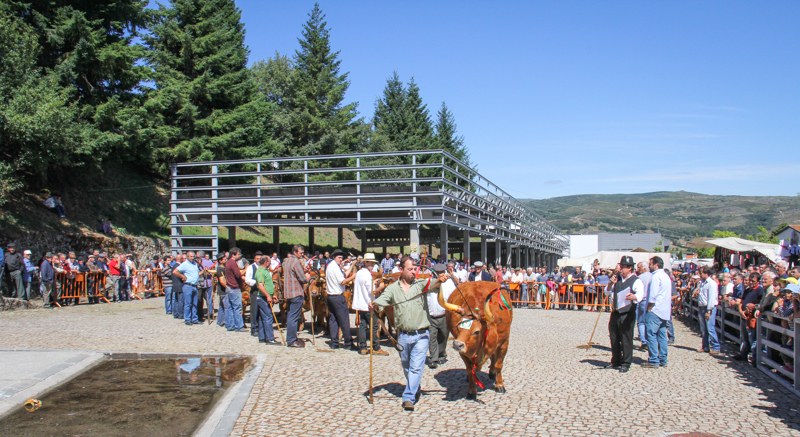 Montalegre - Feira do Prémio 2014