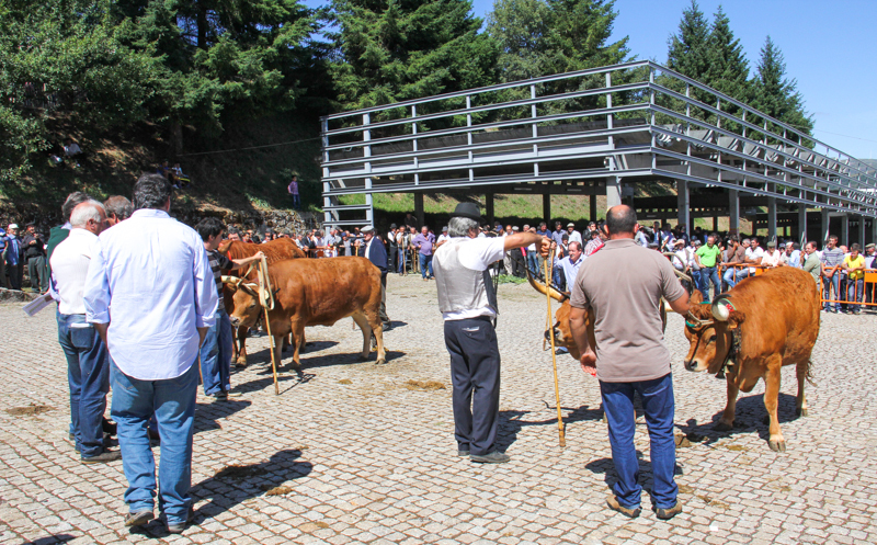 Montalegre - Feira do Prémio 2014