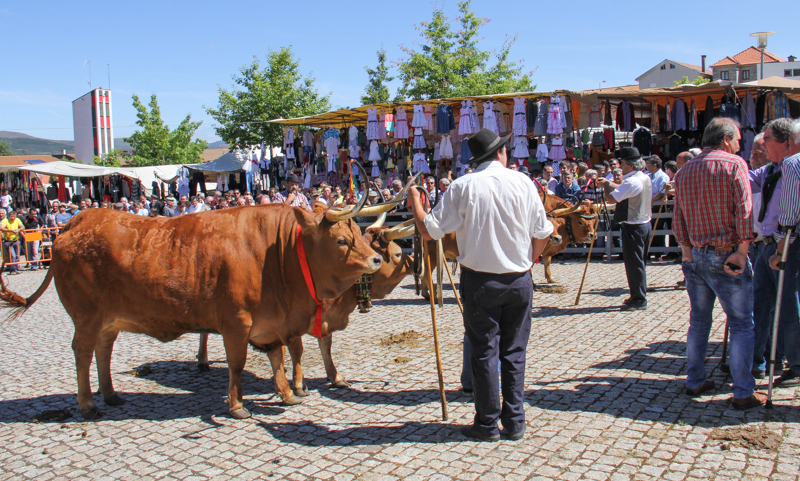 Montalegre - Feira do Prémio 2014