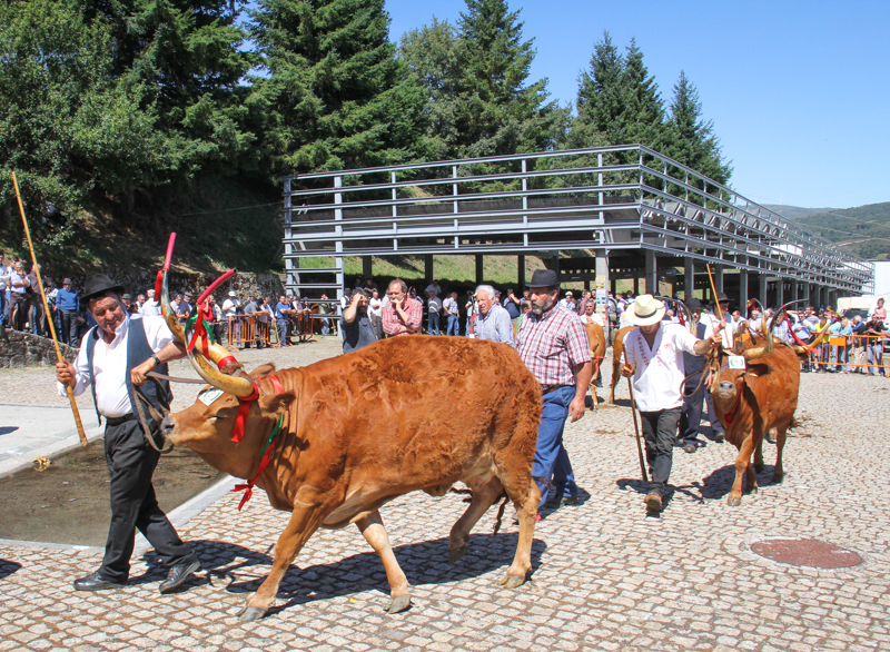 Montalegre - Feira do Prémio 2014