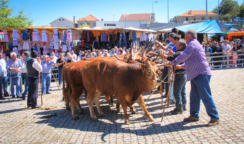 Montalegre - Feira do Prémio 2014