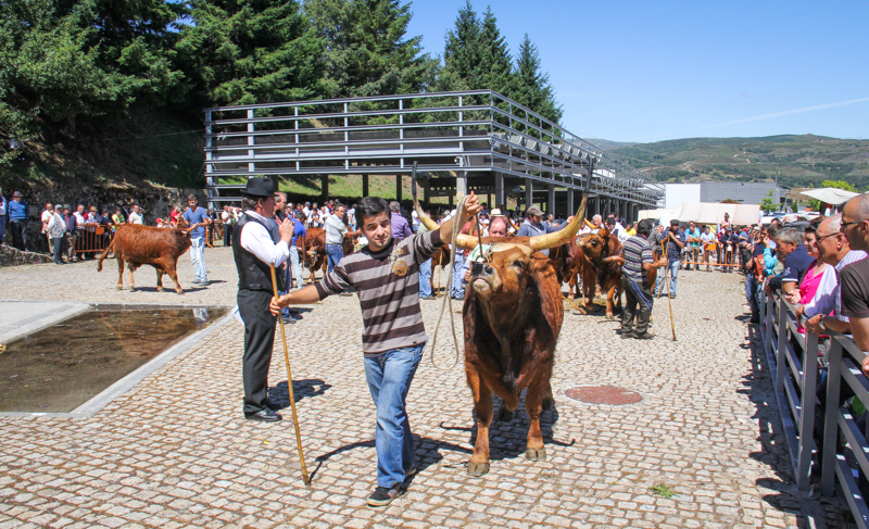 Montalegre - Feira do Prémio 2014