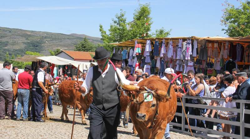 Montalegre - Feira do Prémio 2014