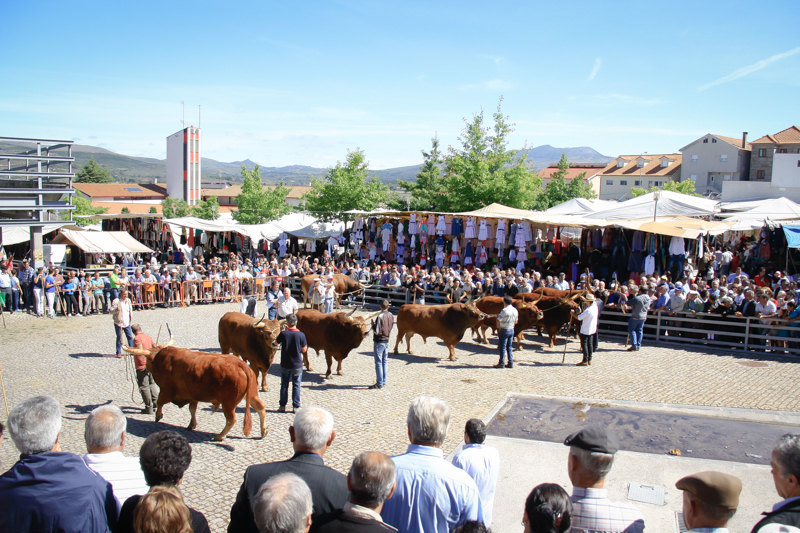 Montalegre - Feira do Prémio 2014